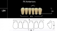FX Anteriors - Зубы акриловые двухслойные, фронтальные нижние, цвет A1, фасон LB4, 6 шт