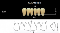 FX Anteriors - Зубы акриловые двухслойные, фронтальные нижние, цвет A1, фасон LA4, 6 шт