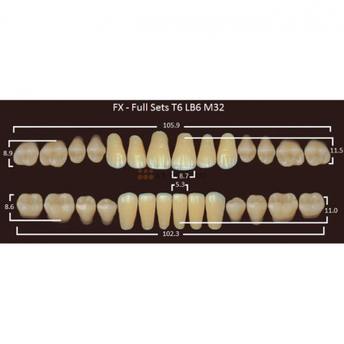 FX зубы акриловые двухслойные, полный гарнитур (28 шт.) на планке, C2, T6/LB6/M32