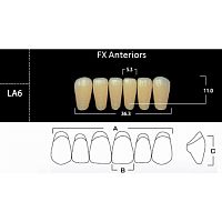 FX Anteriors - Зубы акриловые двухслойные, фронтальные нижние, цвет C4, фасон LA6, 6 шт