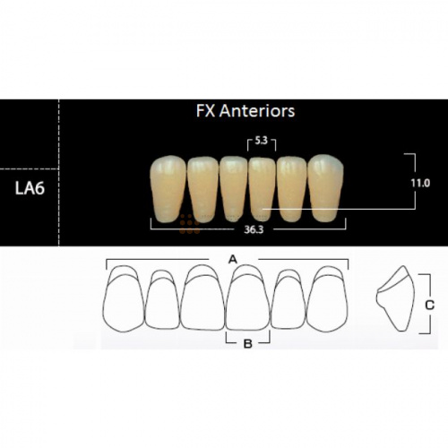 FX Anteriors - Зубы акриловые двухслойные, фронтальные нижние, цвет A3, фасон LA6, 6 шт