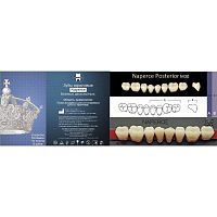 Зубы NAPERCE Posterior, цвет C1, фасон М30 акриловые двухслойные, 8 шт.