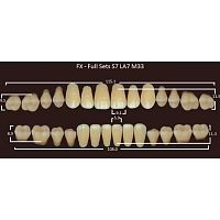 FX зубы акриловые двухслойные, полный гарнитур (28 шт.) на планке, D3, S7/LA7/M33