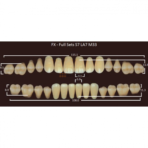 FX зубы акриловые двухслойные, полный гарнитур (28 шт.) на планке, A3, S7/LA7/M33