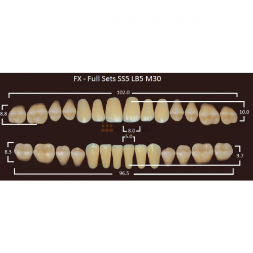 FX зубы акриловые двухслойные, полный гарнитур (28 шт.) на планке, B3, SS5/LB5/M30