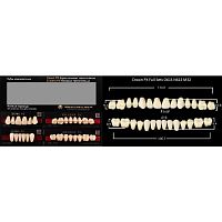 Зубы PX CROWN / EFUCERA, цвет C1, фасон O61S/N61S/32, полный гарнитур, 28шт.