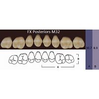 FX Posteriors - Зубы акриловые двухслойные, боковые верхние, цвет B2, фасон М32, 8 шт