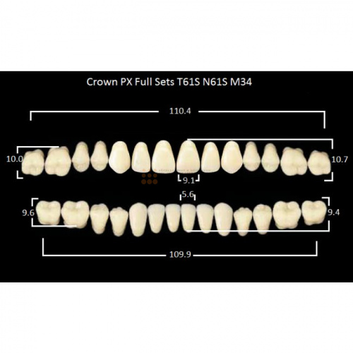 Зубы PX CROWN / EFUCERA, цвет A3,5, фасон T61S/N61S/34, полный гарнитур, 28шт. фото 2