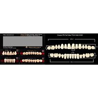 Зубы PX CROWN / EFUCERA, цвет D3, фасон T51S/N42/30, полный гарнитур, 28шт.