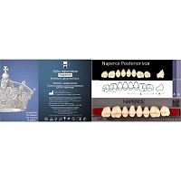Зубы NAPERCE Posterior, цвет A4, фасон М28, акриловые двухслойные, 8 шт.