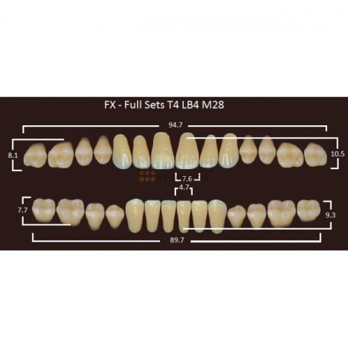 FX зубы акриловые двухслойные, полный гарнитур (28 шт.) на планке, C3, T4/LB4/M28