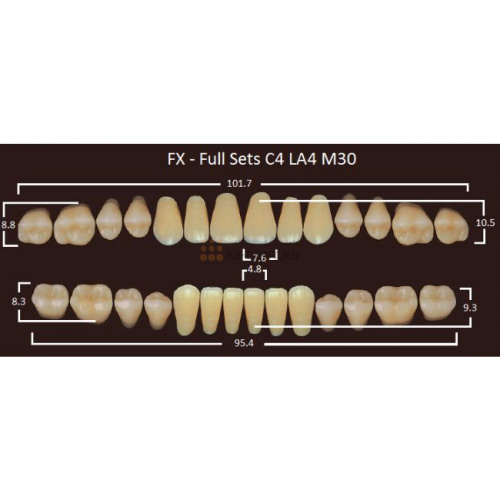 FX зубы акриловые двухслойные, полный гарнитур (28 шт.) на планке, B2, C4/LA4/M30
