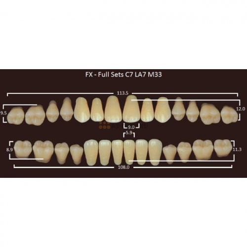 FX зубы акриловые двухслойные, полный гарнитур (28 шт.) на планке, A2, C7/LA7/M33