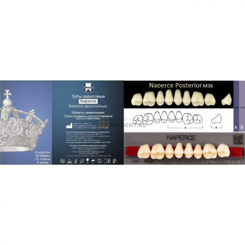 Зубы NAPERCE Posterior, цвет A3, фасон М36, акриловые двухслойные, 8 шт.