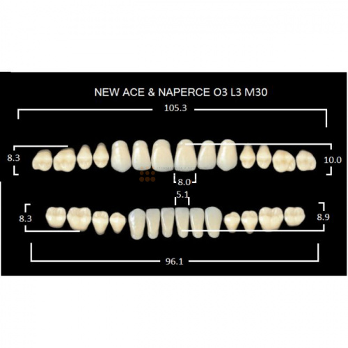 Зубы GLORIA, цвет A2, фасон O3 М30, акриловые двухслойные, полный гарнитур, 28 шт. фото 2