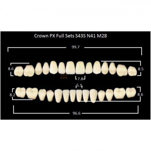 Зубы PX CROWN / EFUCERA, цвет C3, фасон S43S/N41/28, полный гарнитур, 28шт. фото 2