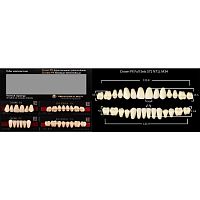 Зубы PX CROWN / EFUCERA, цвет A3, фасон S71/N71L/34, полный гарнитур, 28шт.