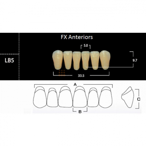 FX Anteriors - Зубы акриловые двухслойные, фронтальные нижние, цвет A3,5, фасон LB5, 6 шт
