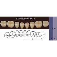 FX Posteriors - Зубы акриловые двухслойные, боковые нижние, цвет C1, фасон М30, 8 шт
