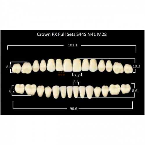 Зубы PX CROWN / EFUCERA, цвет C4, фасон S44S/N41/28, полный гарнитур, 28шт. фото 2