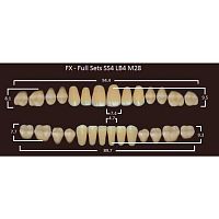 FX зубы акриловые двухслойные, полный гарнитур (28 шт.) на планке, C2, SS4/LB4/M28