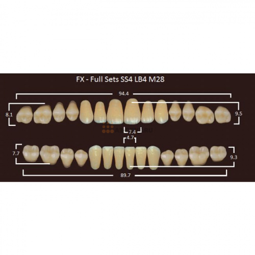 FX зубы акриловые двухслойные, полный гарнитур (28 шт.) на планке, D3, SS4/LB4/M28
