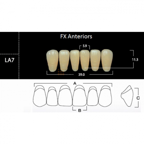 FX Anteriors - Зубы акриловые двухслойные, фронтальные нижние, цвет D2, фасон LA7, 6 шт