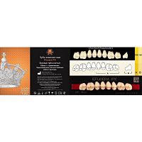 Зубы EFUCERA PX Posteriors, цвет D2, фасон 32, композитные трехслойные боковые верхние, 8 штук на планке.