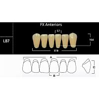 FX Anteriors - Зубы акриловые двухслойные, фронтальные нижние, цвет A4, фасон LB7, 6 шт