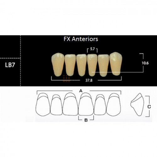 FX Anteriors - Зубы акриловые двухслойные, фронтальные нижние, цвет B4, фасон LB7, 6 шт