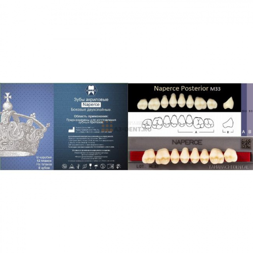 Зубы NAPERCE Posterior, цвет C1, фасон М33 акриловые двухслойные, 8 шт.