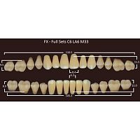 FX зубы акриловые двухслойные, полный гарнитур (28 шт.) на планке, A2, C6/LA6/M33