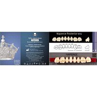 Зубы NAPERCE Posterior, цвет A4, фасон М32, акриловые двухслойные, 8 шт.