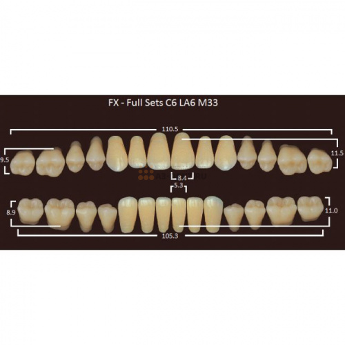 FX зубы акриловые двухслойные, полный гарнитур (28 шт.) на планке, C3, C6/LA6/M33