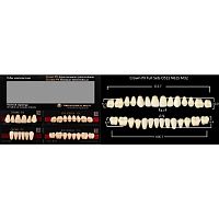 Зубы PX CROWN / EFUCERA, цвет D3, фасон O51S/N61S/32, полный гарнитур, 28шт.