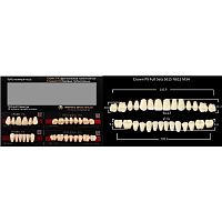 Зубы PX CROWN / EFUCERA, цвет C4, фасон S61S/N61S/34, полный гарнитур, 28шт.