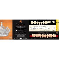 Зубы EFUCERA PX Posteriors, цвет D2, фасон 30, композитные трехслойные боковые нижние, 8 штук на планке.