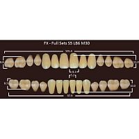 FX зубы акриловые двухслойные, полный гарнитур (28 шт.) на планке, D3, S5/LB6/M30