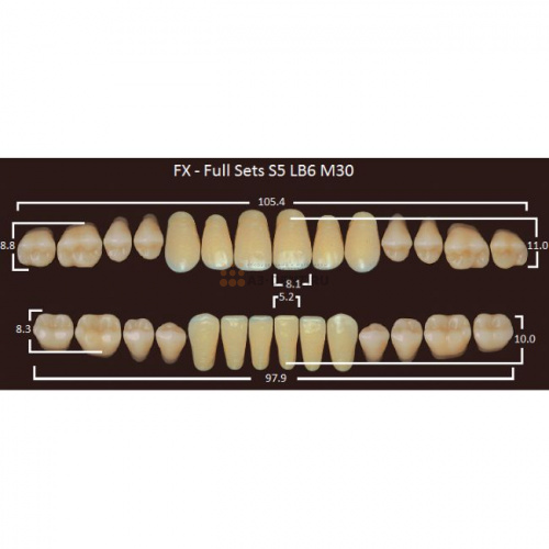 FX зубы акриловые двухслойные, полный гарнитур (28 шт.) на планке, A2, S5/LB6/M30