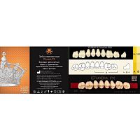 Зубы EFUCERA PX Posteriors, цвет C2, фасон 34, композитные трехслойные боковые верхние, 8 штук на планке.