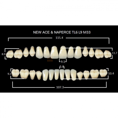 Зубы GLORIA, цвет B2, фасон TL6 М33, акриловые двухслойные, полный гарнитур, 28 шт. фото 2