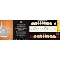 Зубы EFUCERA PX Posteriors, цвет A2, фасон 36, композитные трехслойные боковые верхние, 8 штук на планке.