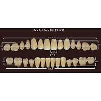 FX зубы акриловые двухслойные, полный гарнитур (28 шт.) на планке, C3, S6/LB7/M33