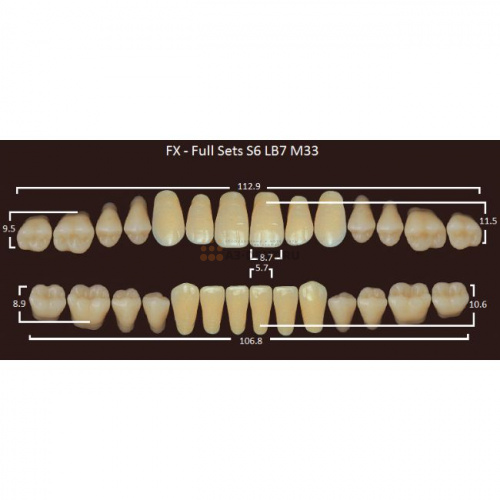 FX зубы акриловые двухслойные, полный гарнитур (28 шт.) на планке, C2, S6/LB7/M33