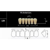 FX Anteriors - Зубы акриловые двухслойные, фронтальные нижние, цвет D2, фасон LB4 6 шт