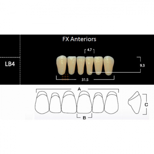 FX Anteriors - Зубы акриловые двухслойные, фронтальные нижние, цвет A3,5, фасон LB4, 6 шт