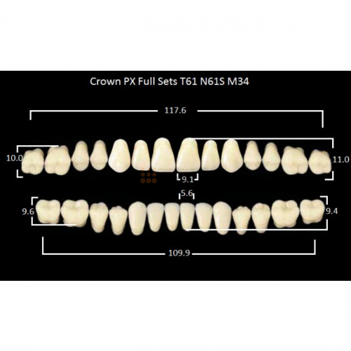 Зубы PX CROWN / EFUCERA, цвет C4, фасон T61/N61S/34, полный гарнитур, 28шт. фото 2