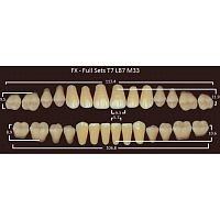 FX зубы акриловые двухслойные, полный гарнитур (28 шт.) на планке, B1, T7/LB7/M33