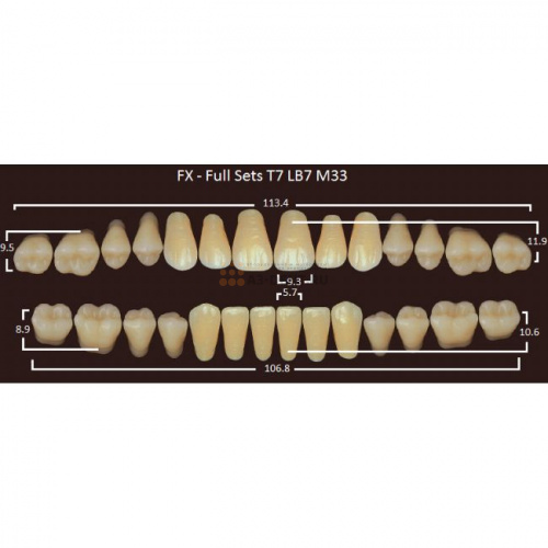 FX зубы акриловые двухслойные, полный гарнитур (28 шт.) на планке, D2, T7/LB7/M33