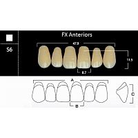 FX Anteriors - Зубы акриловые двухслойные, фронтальные верхние, цвет A1, фасон S6 6 шт